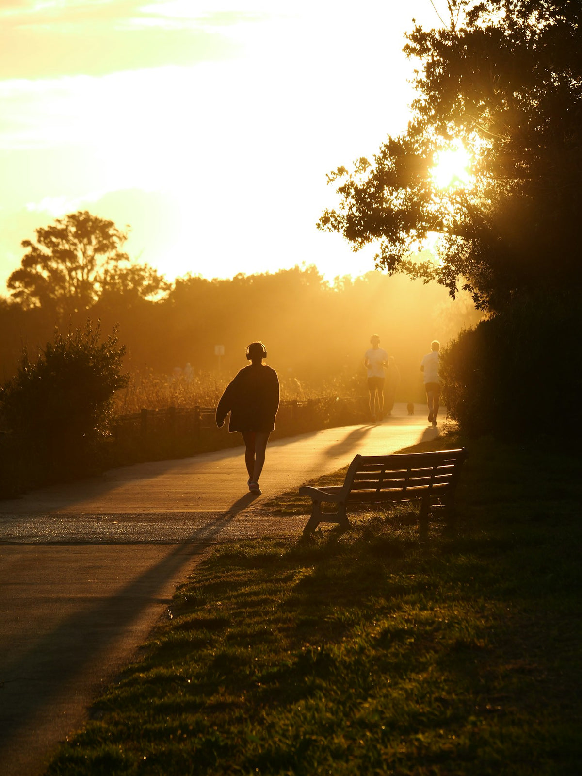 A golden-hour walk — a second wind for the rest of the day